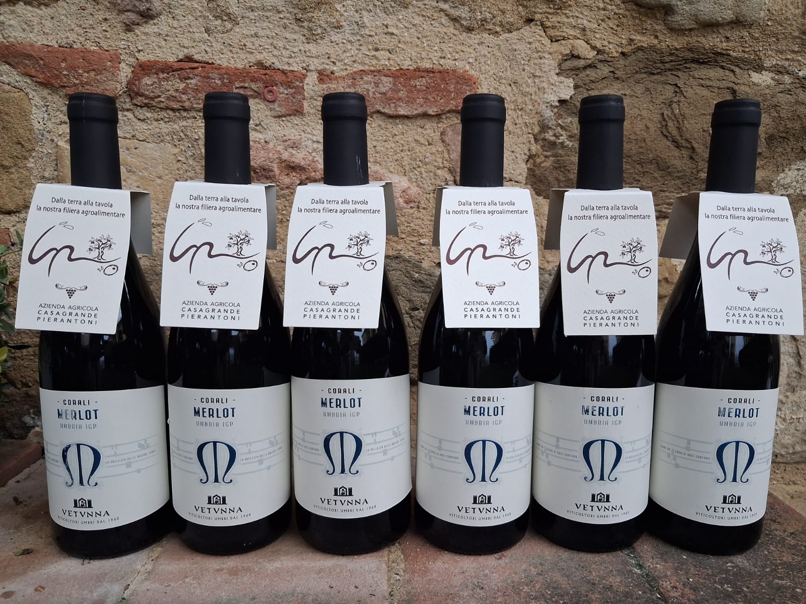 Merlot wine (6-12 bottles) - Image 2